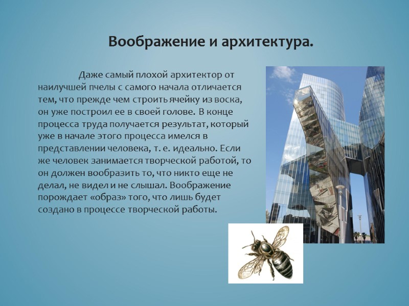 Воображение и архитектура.  Даже самый плохой архитектор от наилучшей пчелы с самого начала